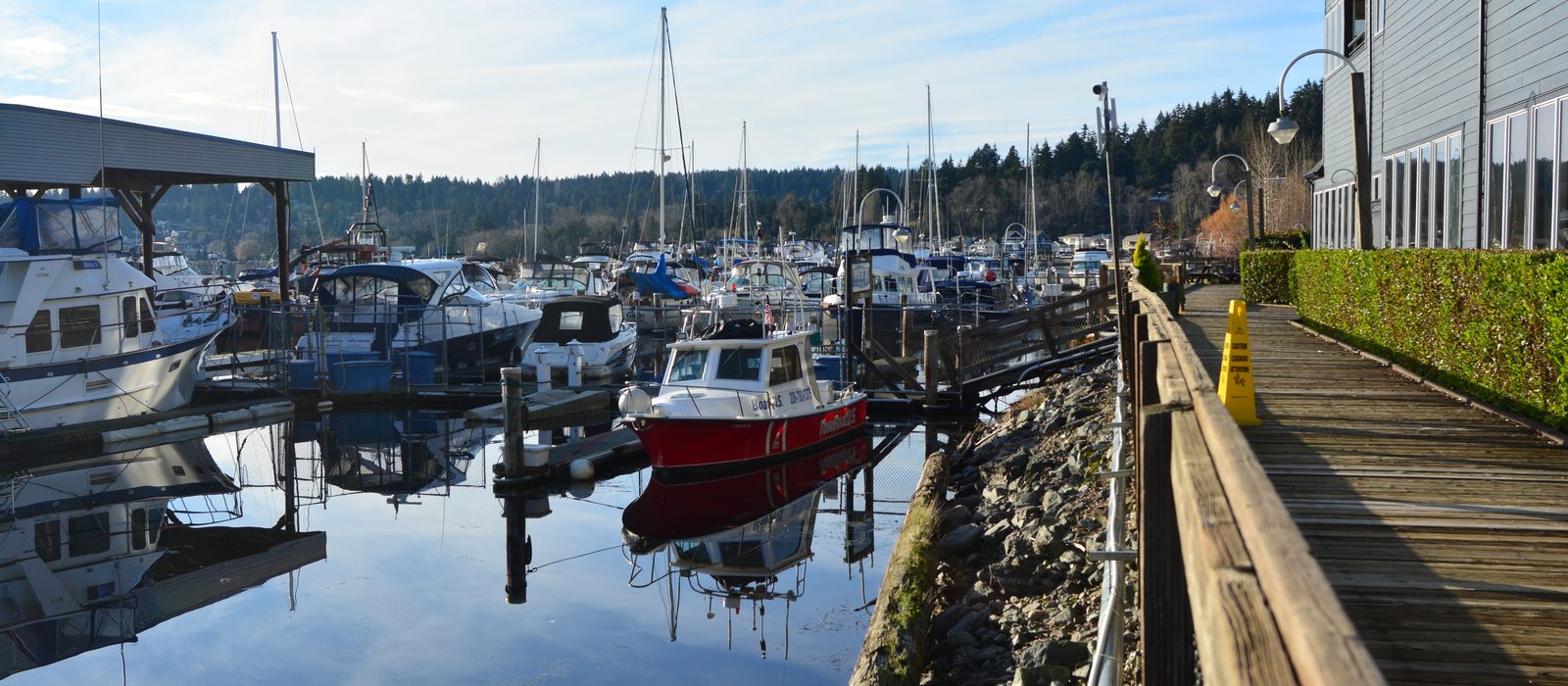 Boats moored at the Kenmore marina on Lake Washington