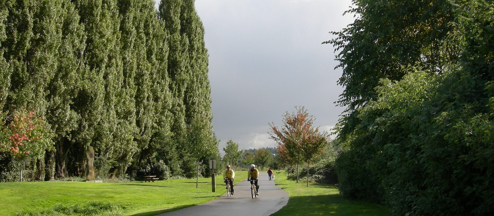 Cyclists on the Sammamish River Trail near Woodinville